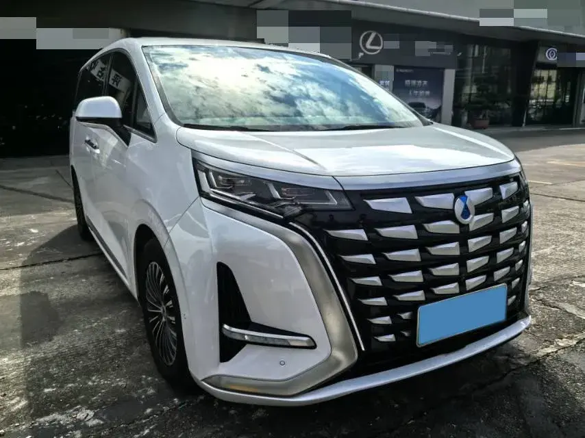 2022 DENZA D9 thumbnail 3