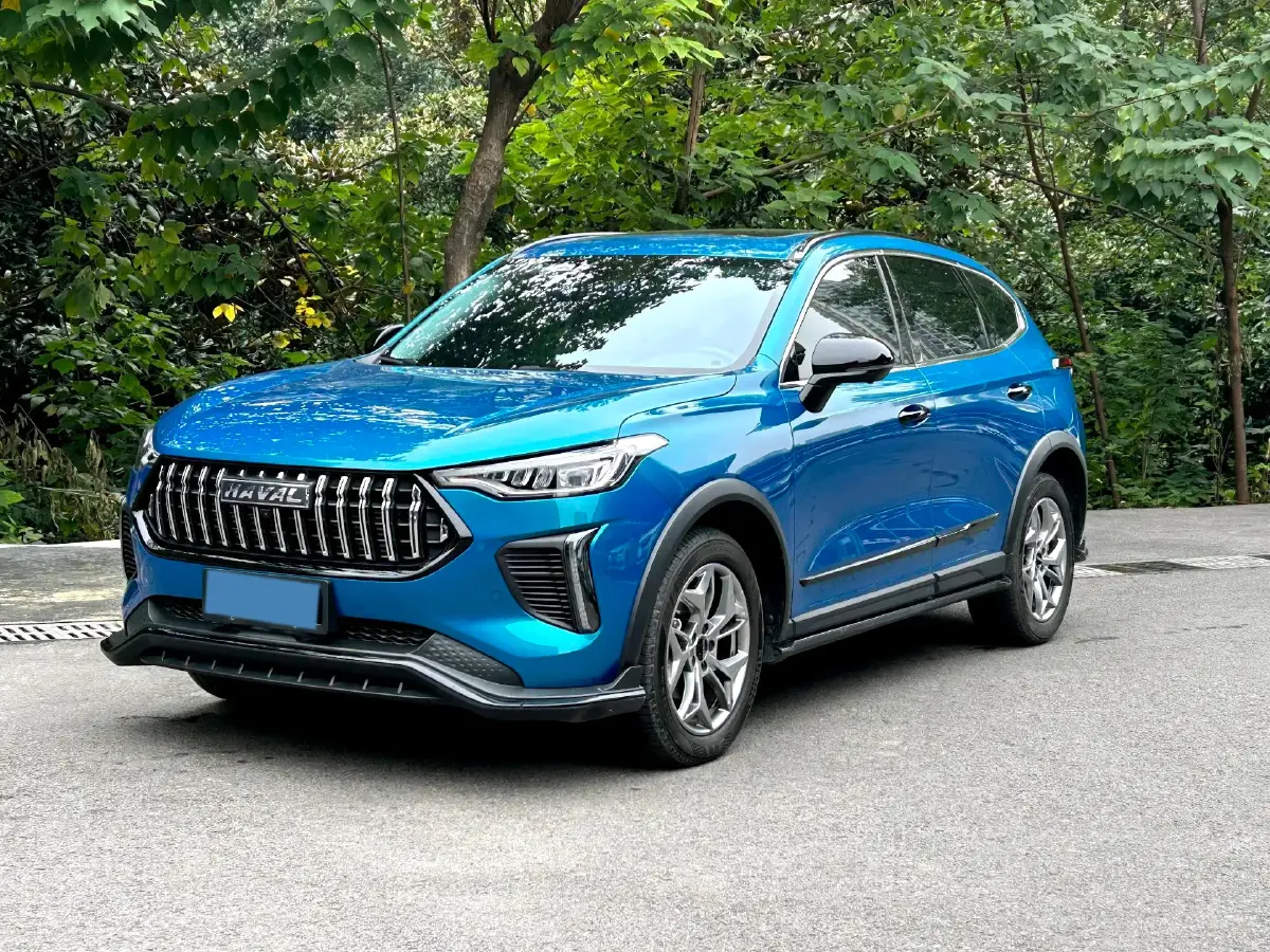 2022 Haval Rabbit 1.5T 150HP L4 7DCT