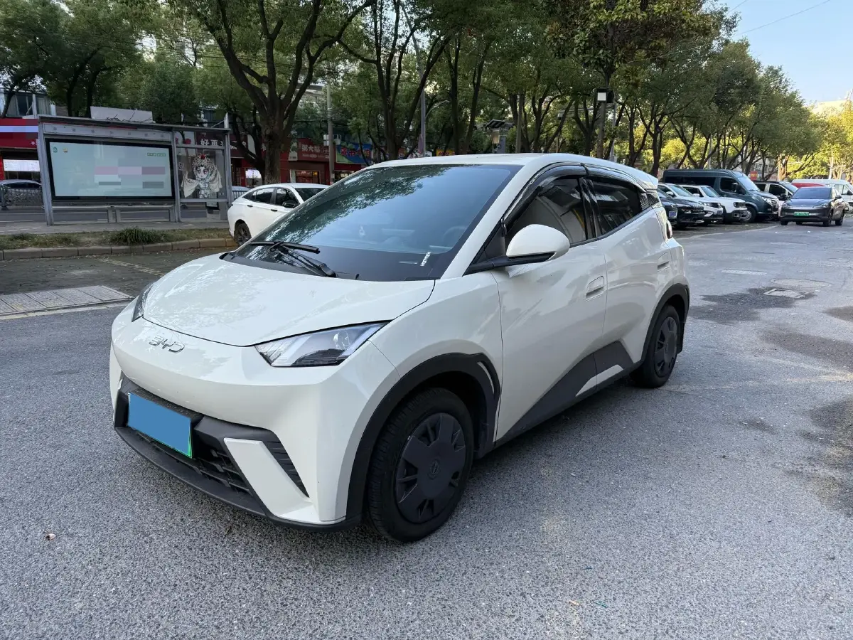 2025 BYD Seagull BEV 30.08KWH