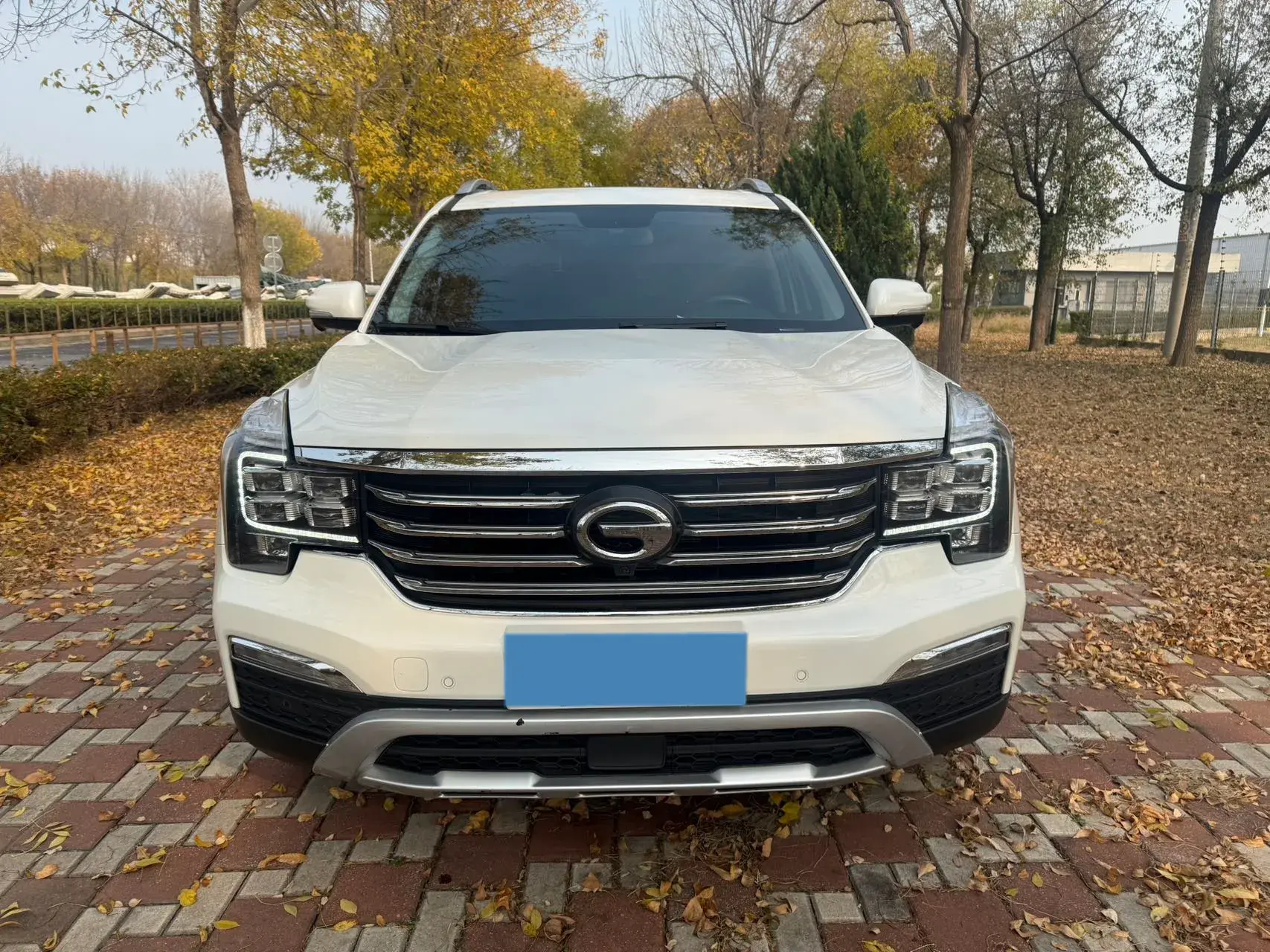 2017 GAC TRUMPCHI thumbnail 2