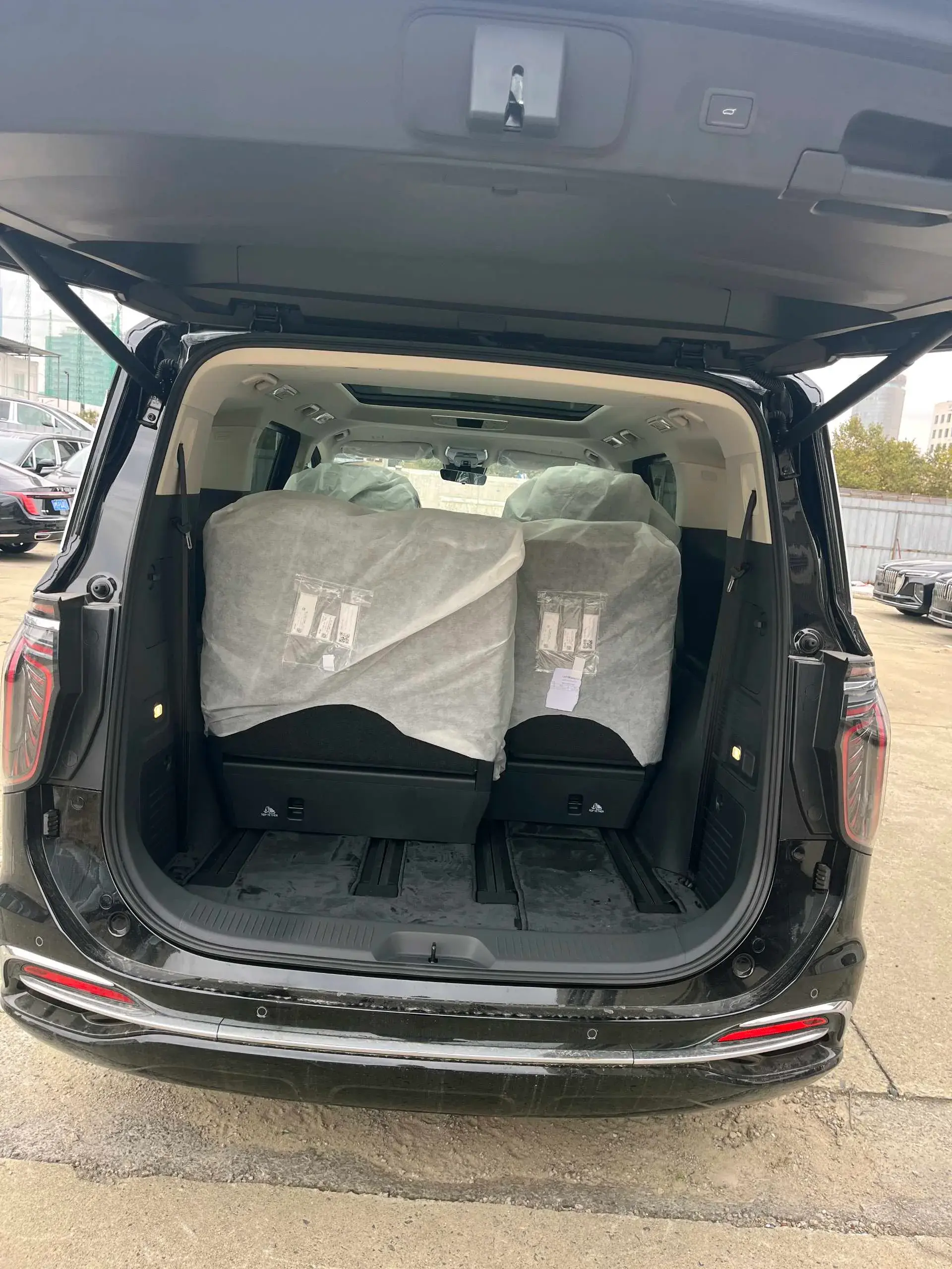 2024 HONGQI HQ9 thumbnail 2