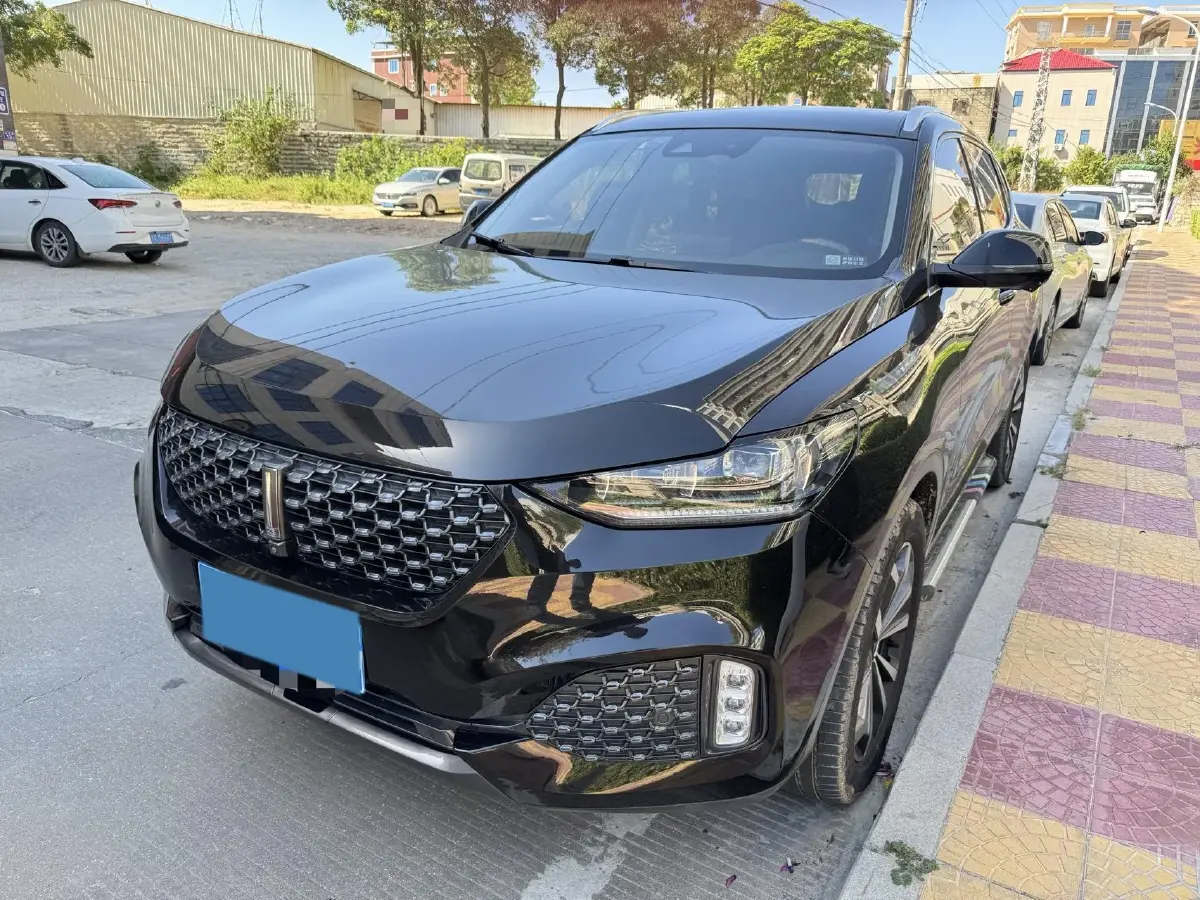 2020 WEY VV6 2.0T 227HP L4 7DCT