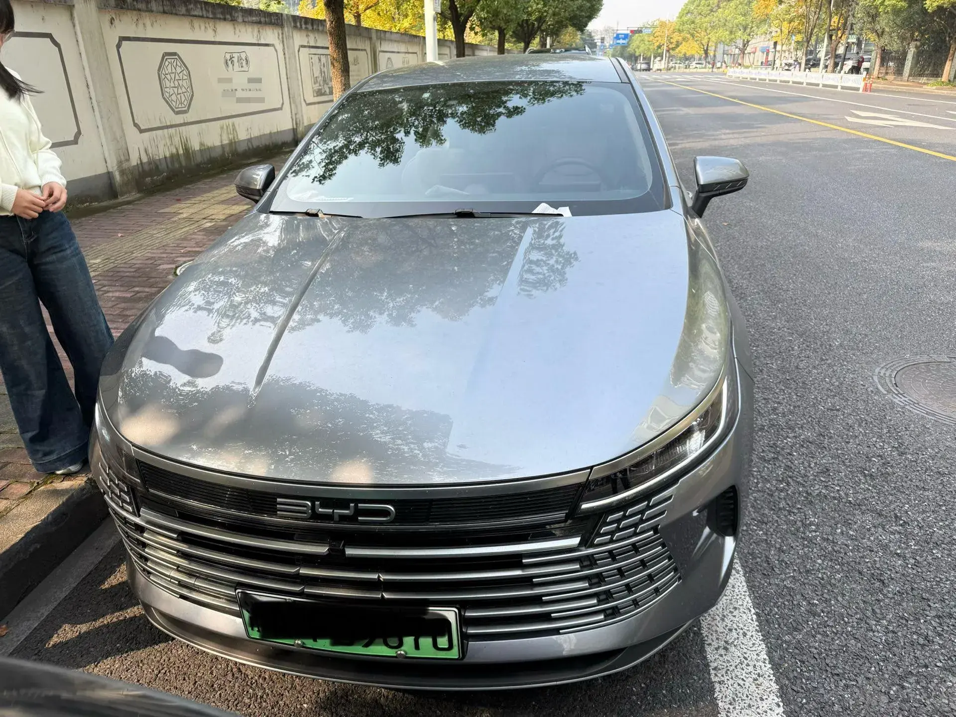 2023 BYD DESTROYER thumbnail 2