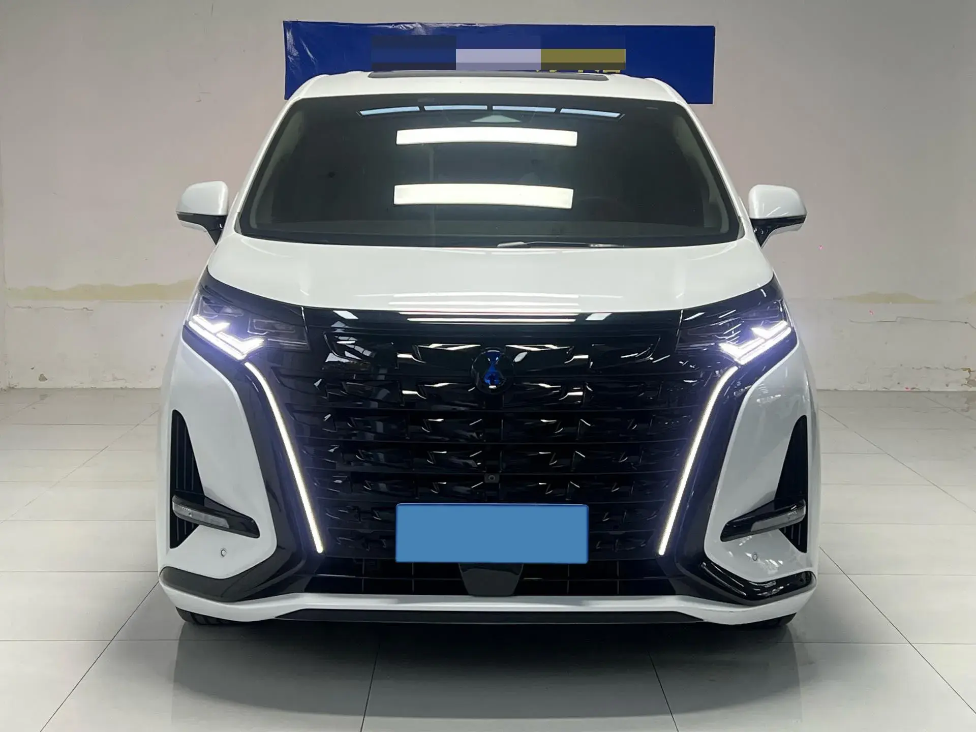 2022 DENZA D9 thumbnail 2