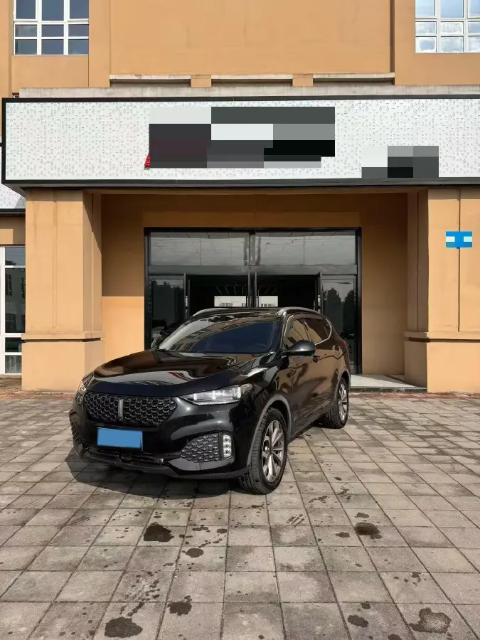 2020 WEY VV6 2.0T 227HP L4 7DCT