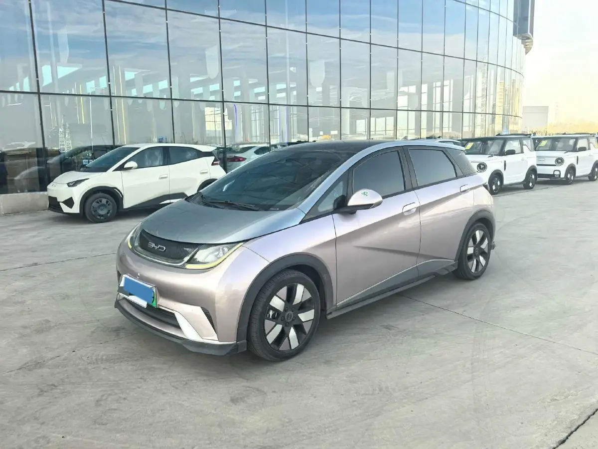 2021 BYD Dolphin BEV 44.9KWH