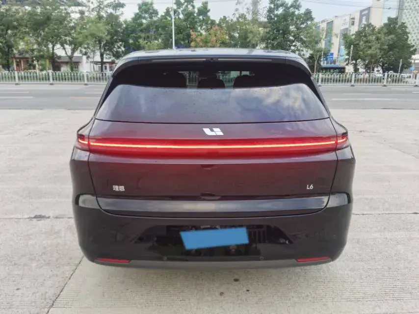 2024 LI L6 thumbnail 4