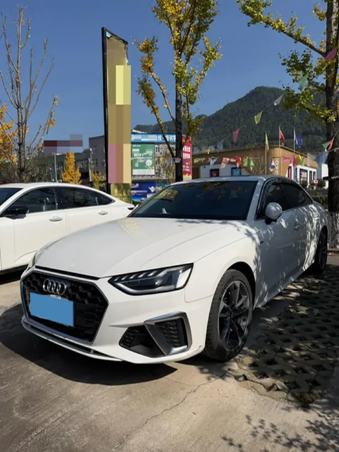 2020 Audi A4L 2.0T 150HP L4 7DCT