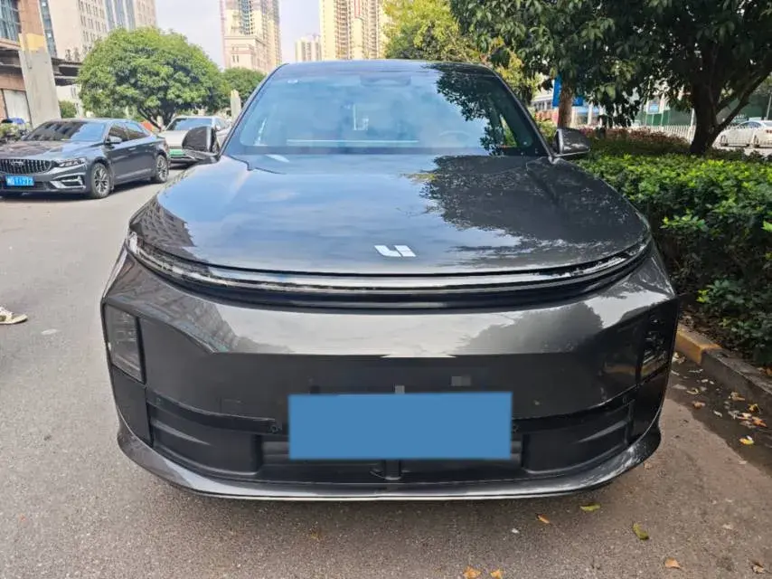 2024 LI L6 thumbnail 2