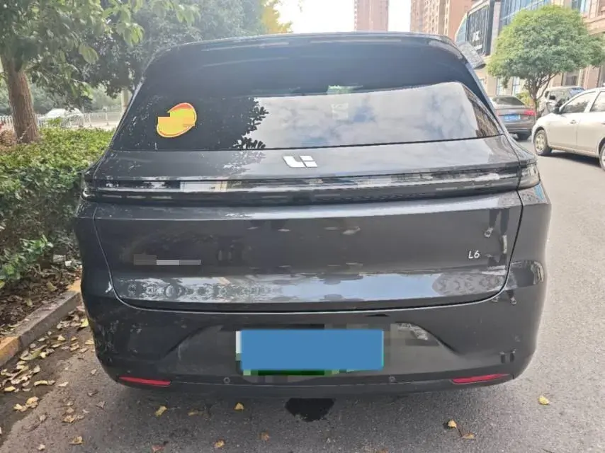 2024 LI L6 thumbnail 3