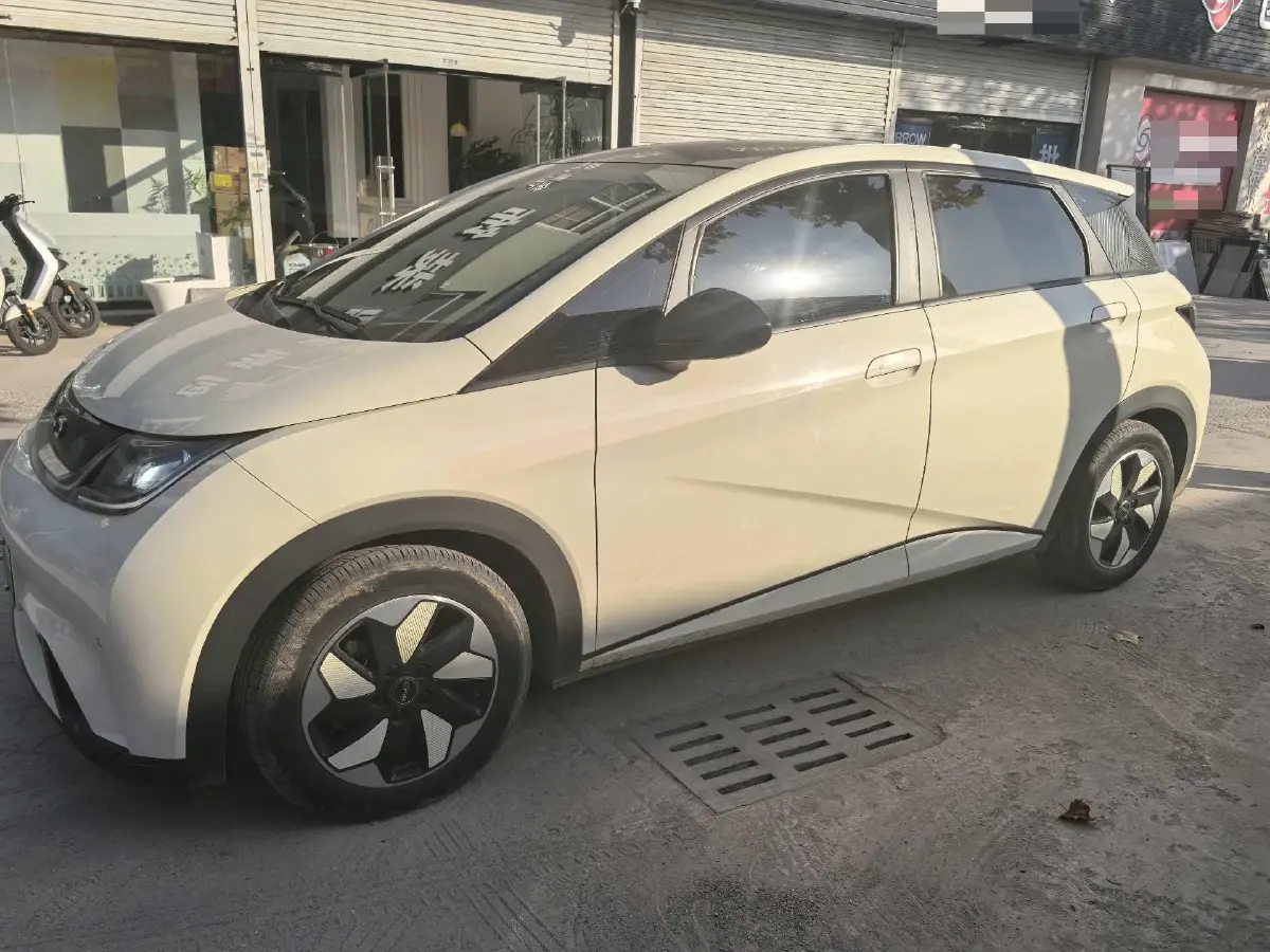 2024 BYD Dolphin BEV 44.928KWH