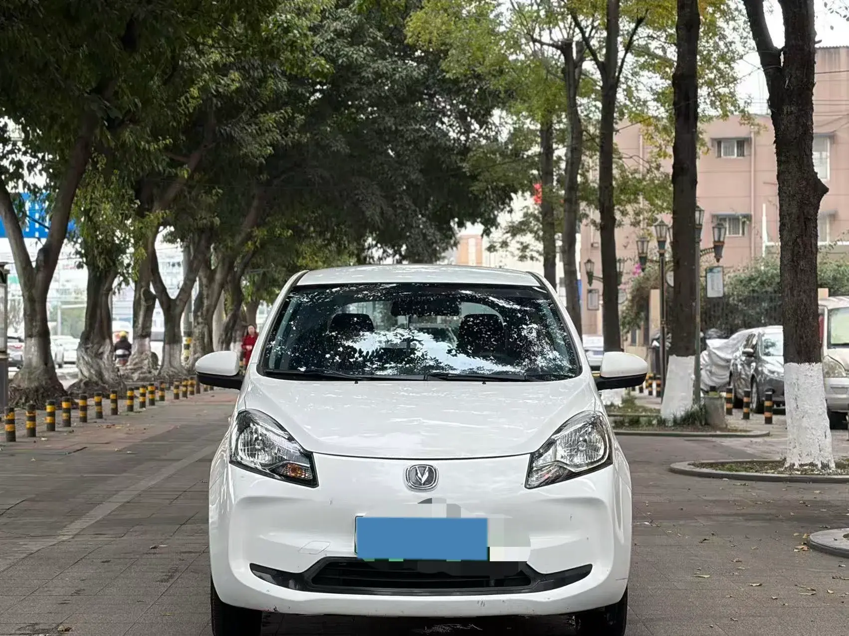 2020 CHANGAN BENBEN thumbnail 4