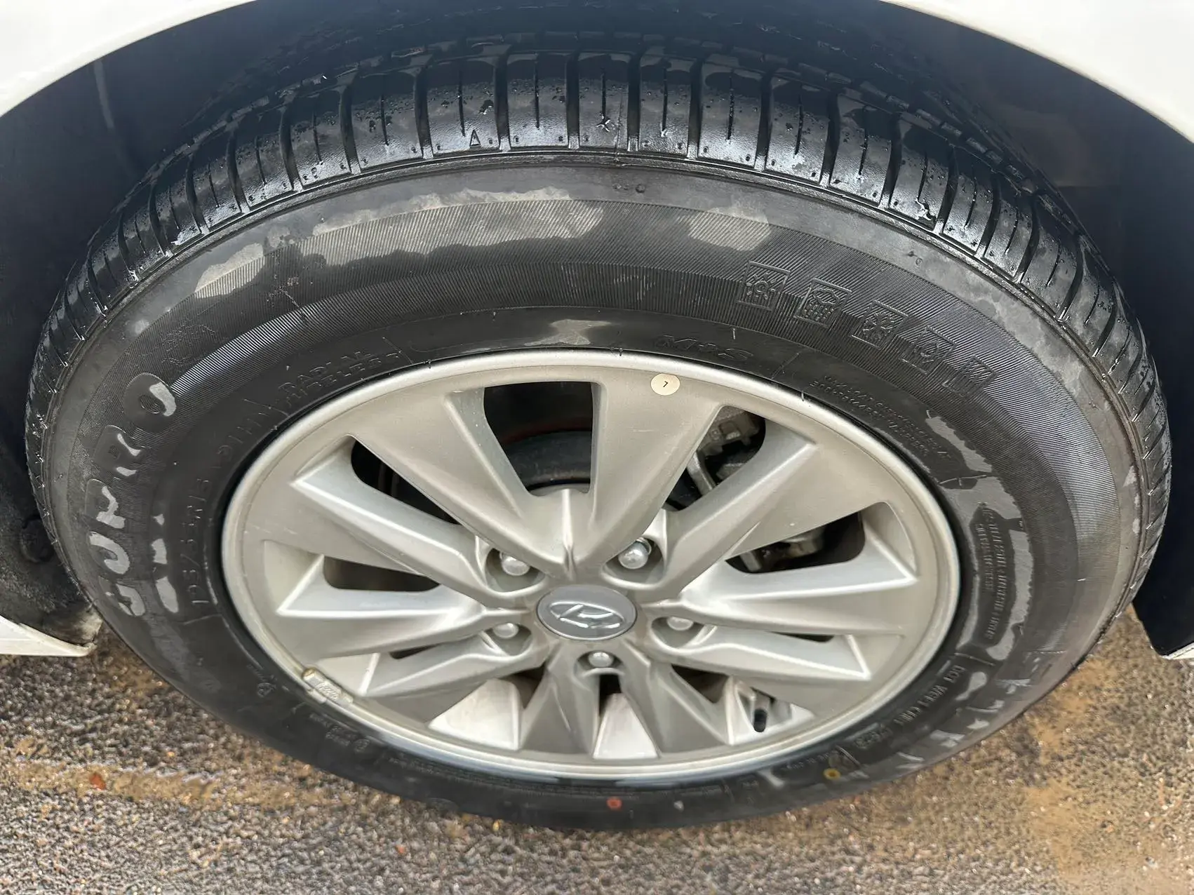 2017 HYUNDAI CELESTA thumbnail 3