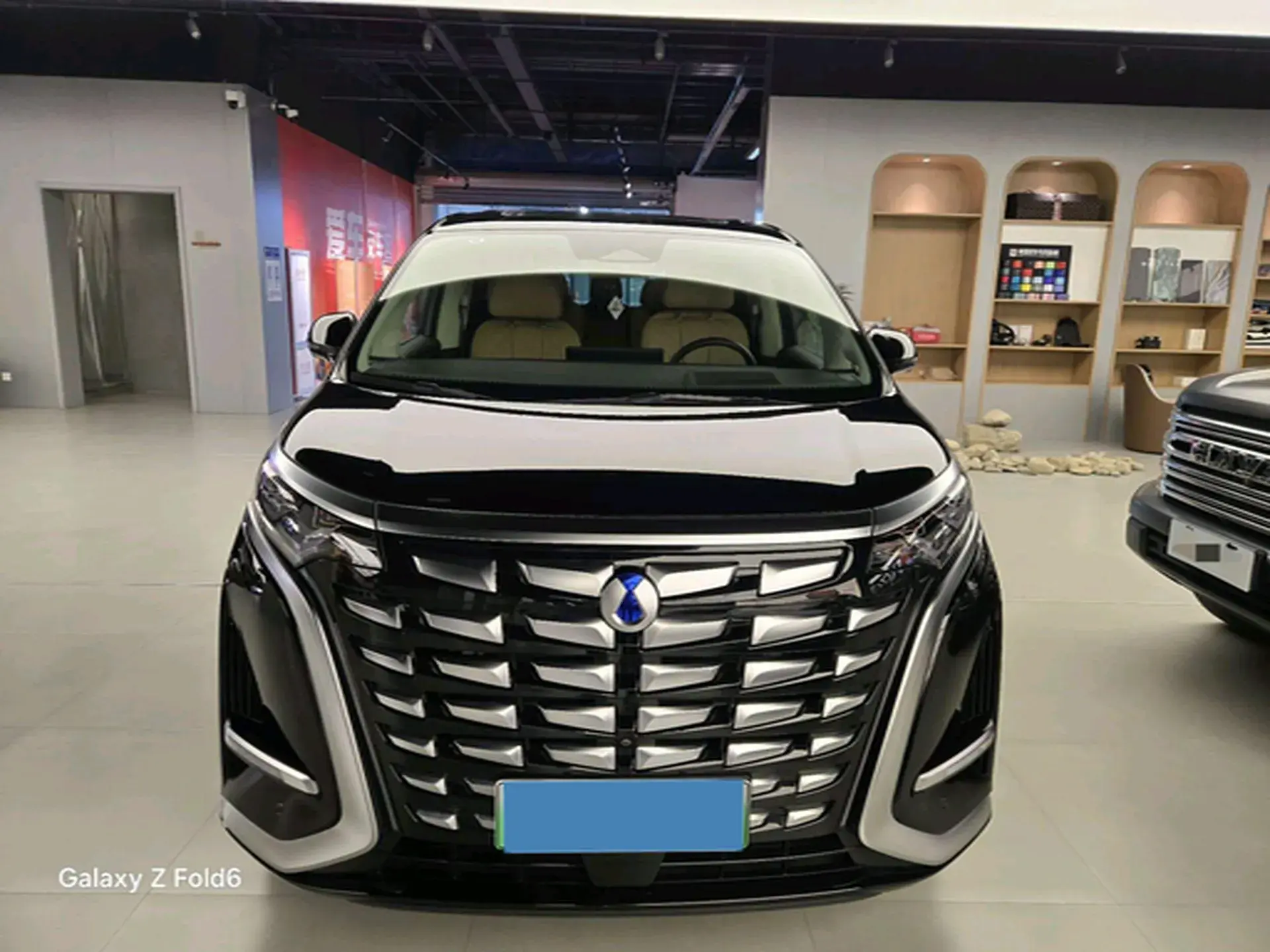 2024 DENZA D9 thumbnail 2