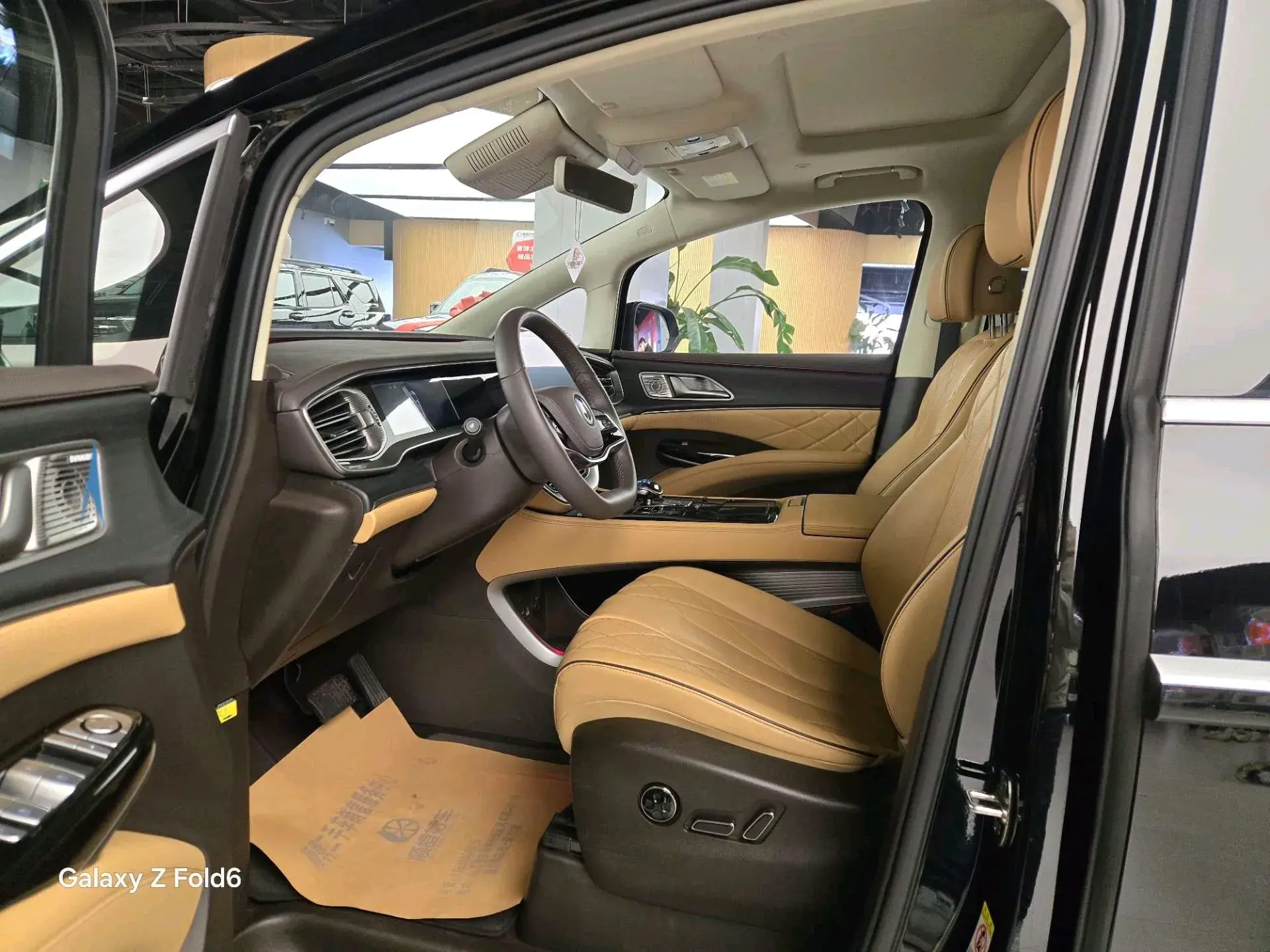 2024 DENZA D9 thumbnail 4