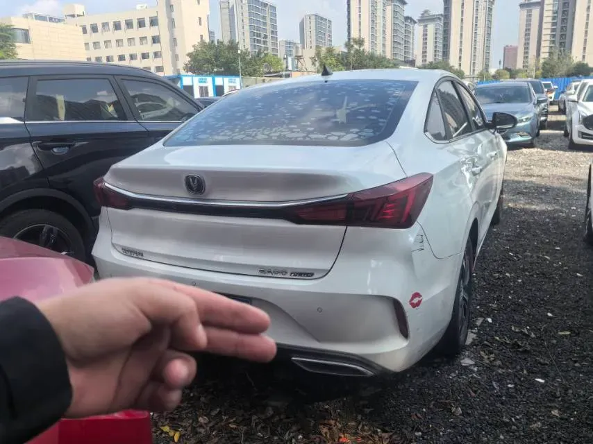 2021 ChangAn Eado 1.6L 128HP L4 CVT,autocango,china used car exporter,china ev exporter,chinese used car exporter,chinese used ev exporter