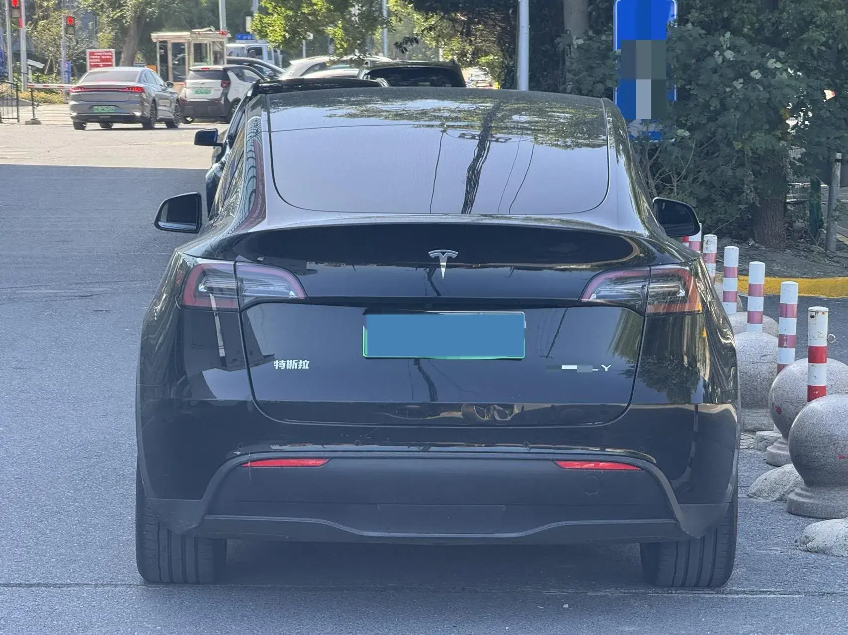 2021 TESLA MODEL thumbnail 3