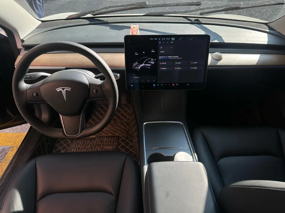 2021 Tesla Model 3 BEV 55KWH,autocango,china used car exporter,china ev exporter,chinese used car exporter,chinese used ev exporter