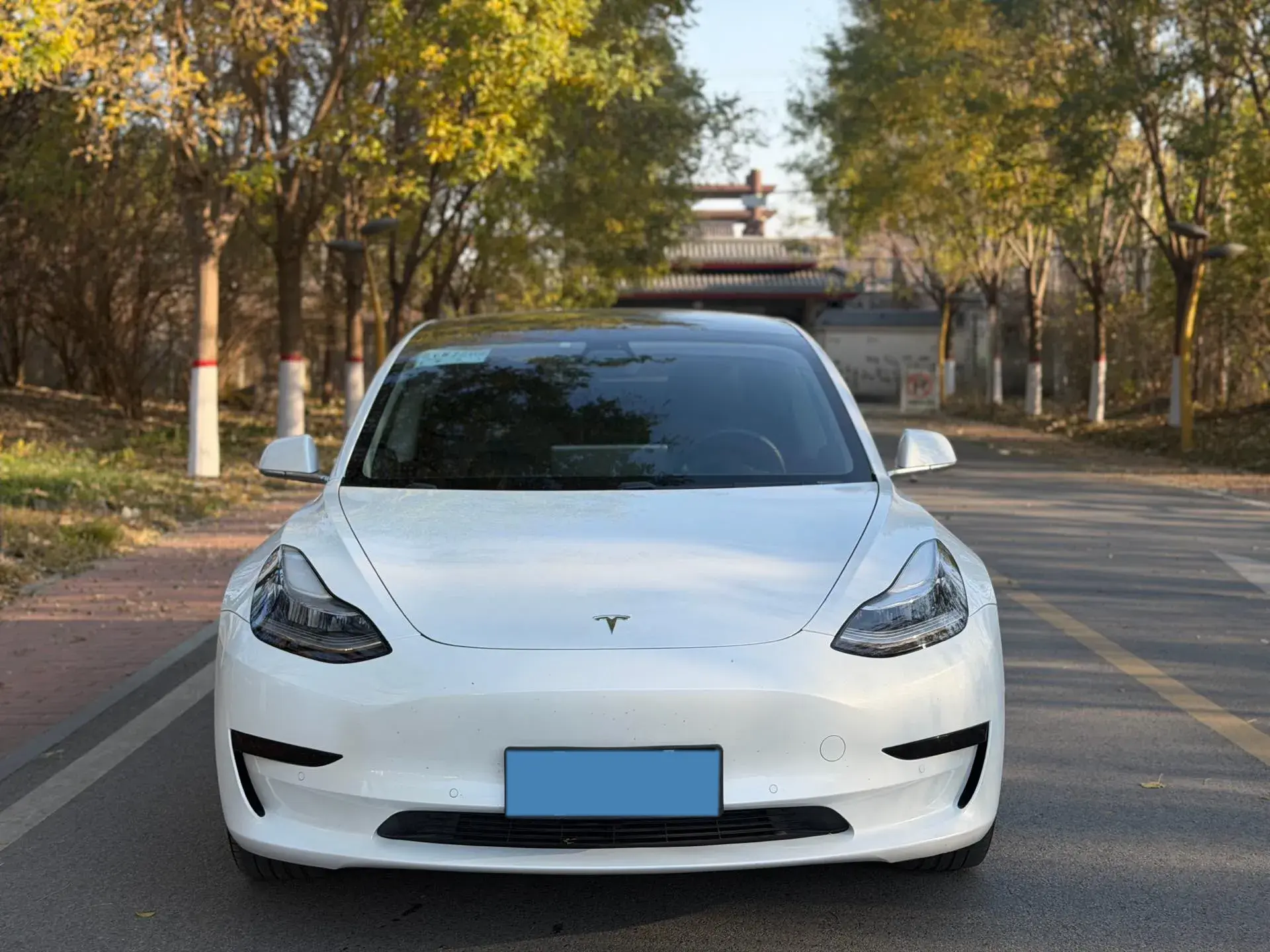 2019 TESLA MODEL thumbnail 3