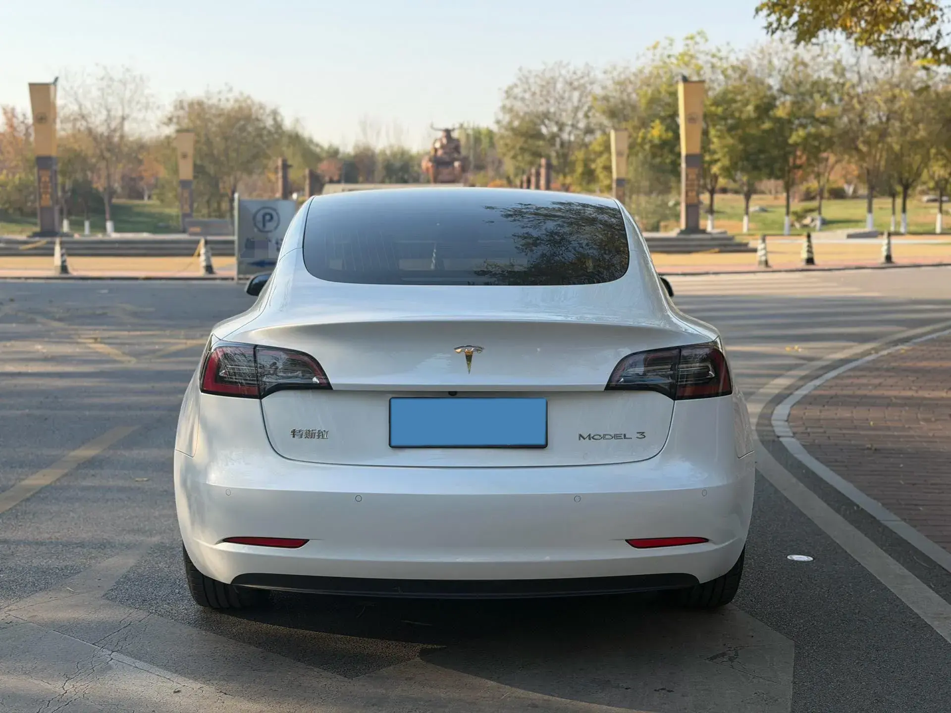 2019 TESLA MODEL thumbnail 4