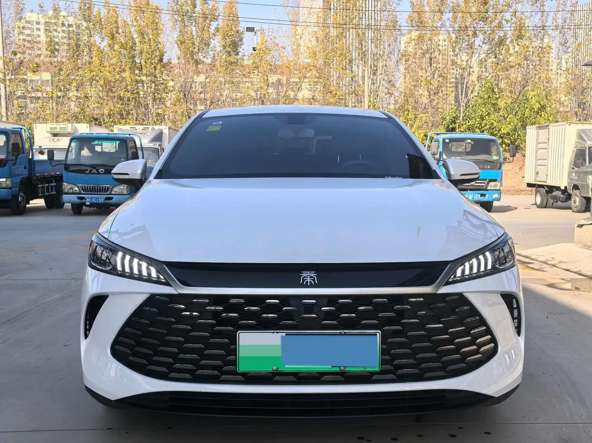 2025 BYD QIN thumbnail 3