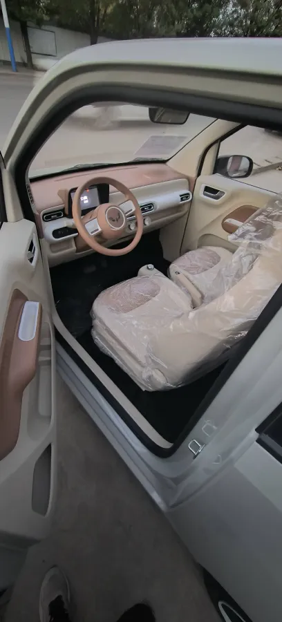 2024 WuLing HongGuang MINI EV BEV 17.3KWH,autocango,china used car exporter,china ev exporter,chinese used car exporter,chinese used ev exporter