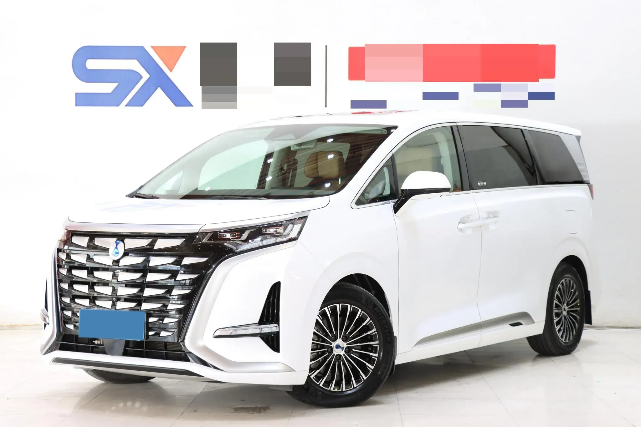 2022 DENZA D9 view 1