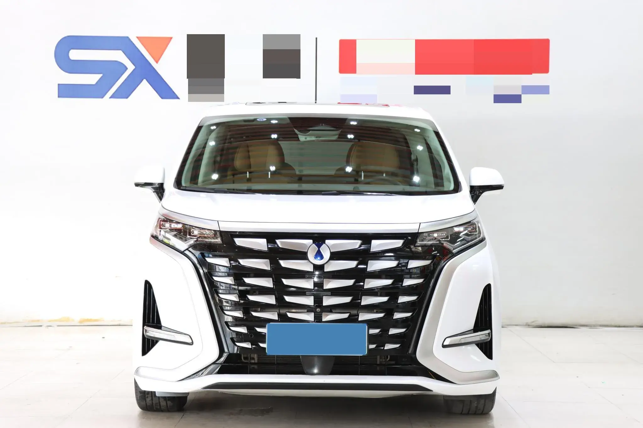 2022 DENZA D9 thumbnail 2