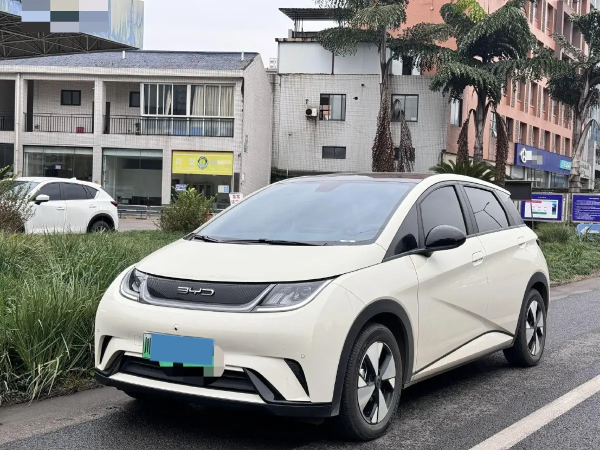2023 BYD Dolphin BEV 44.928KWH