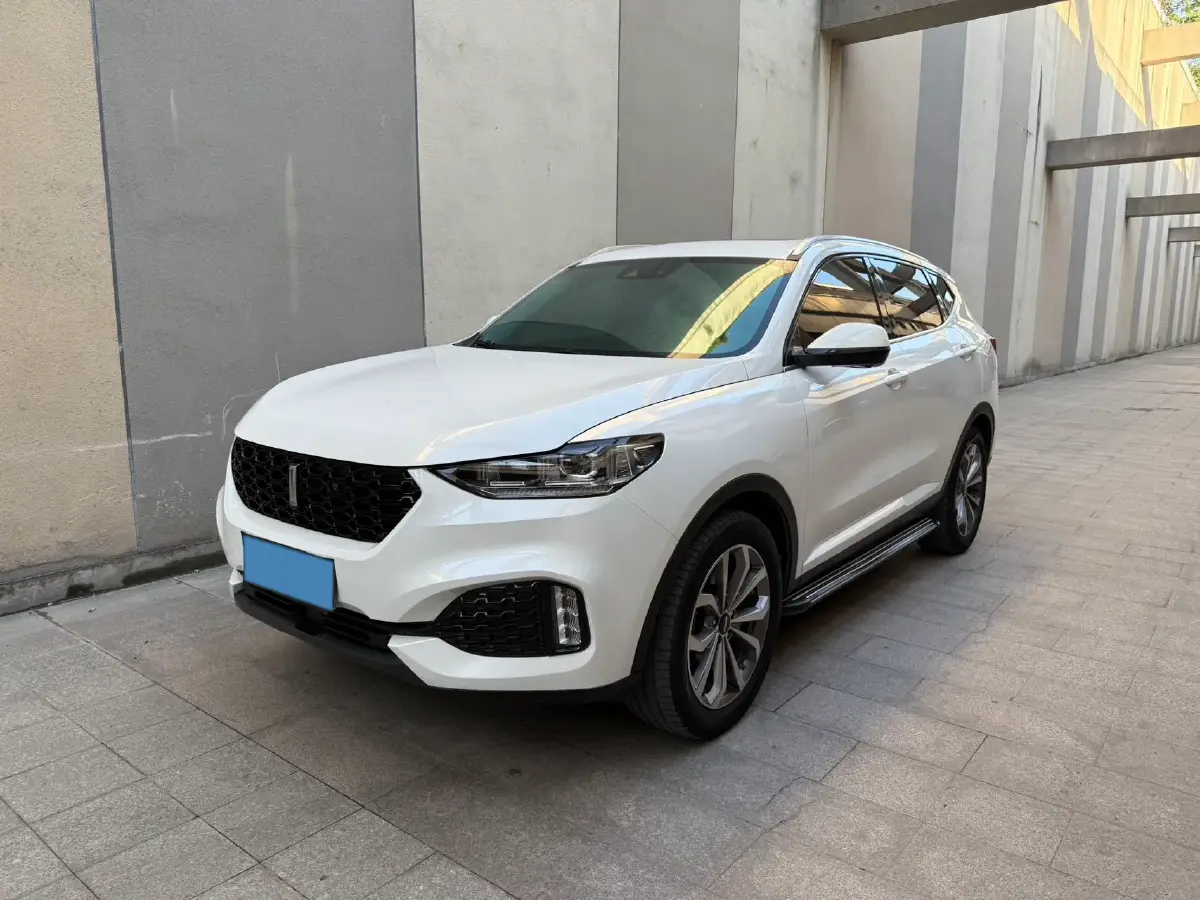 2018 WEY VV6 2.0T 197HP L4 7DCT