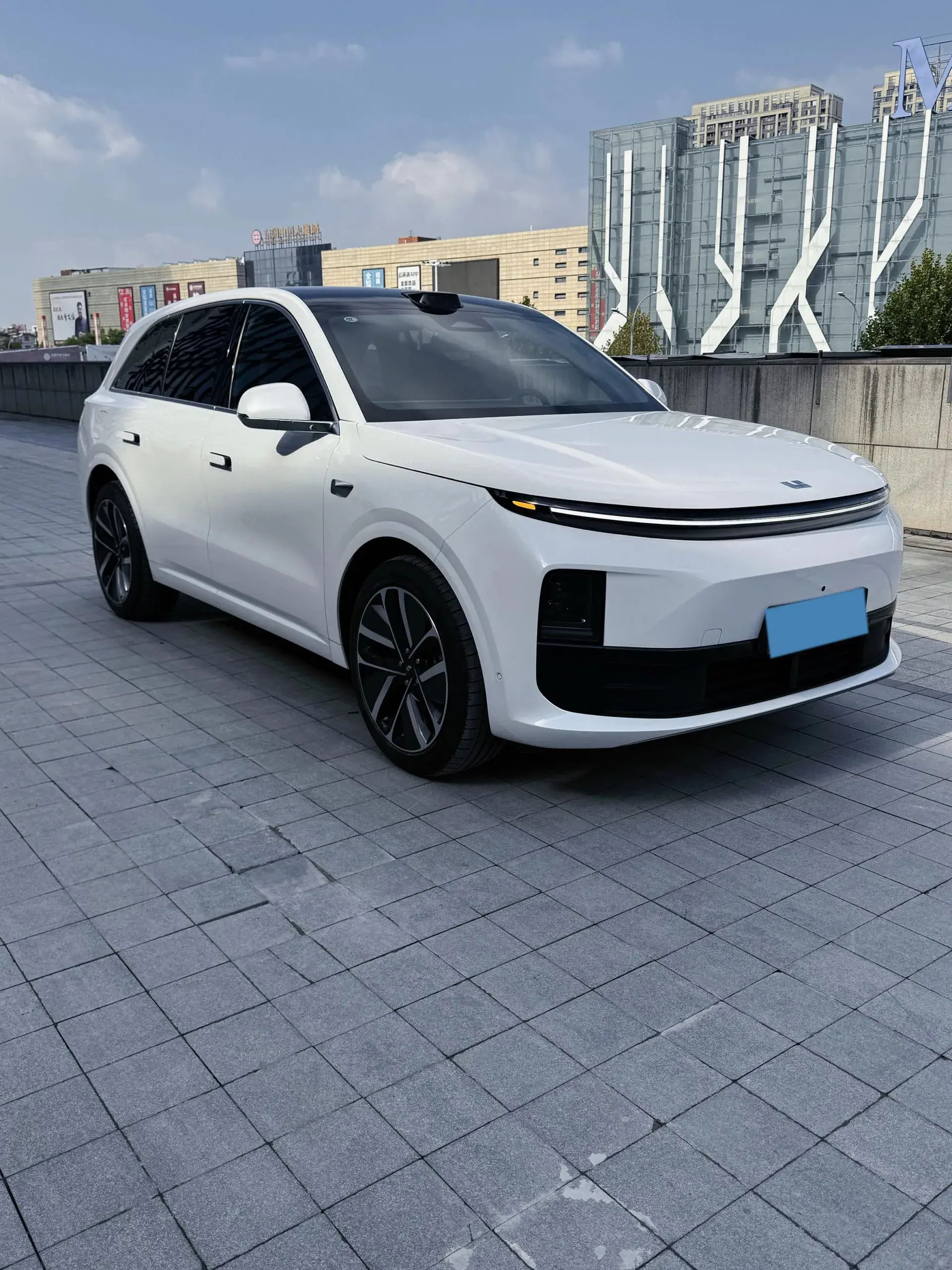 2024 LI L6 thumbnail 3