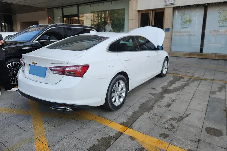 2019 CHEVROLET MALIBU thumbnail 2