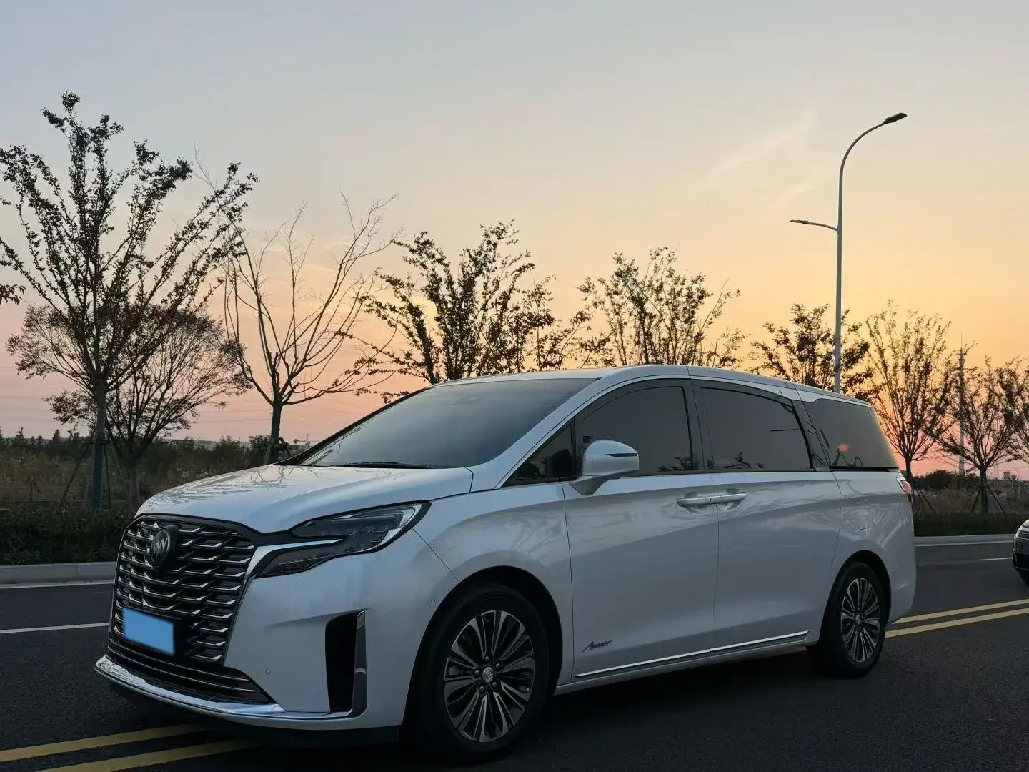 2023 BUICK GL8 view 1