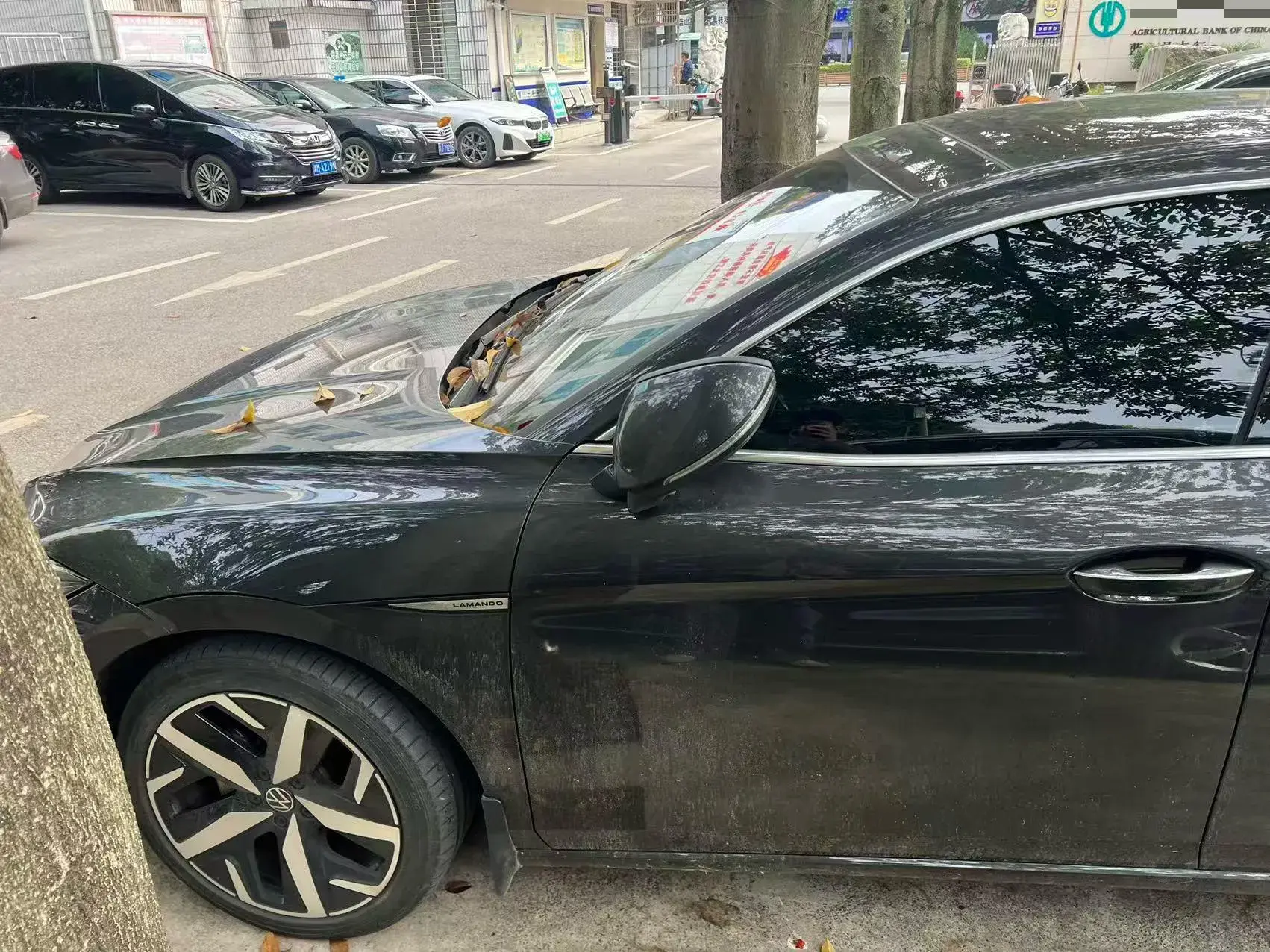 2023 VOLKSWAGEN LAMANDO thumbnail 3