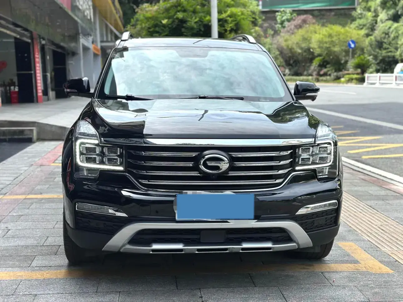 2017 GAC TRUMPCHI thumbnail 2