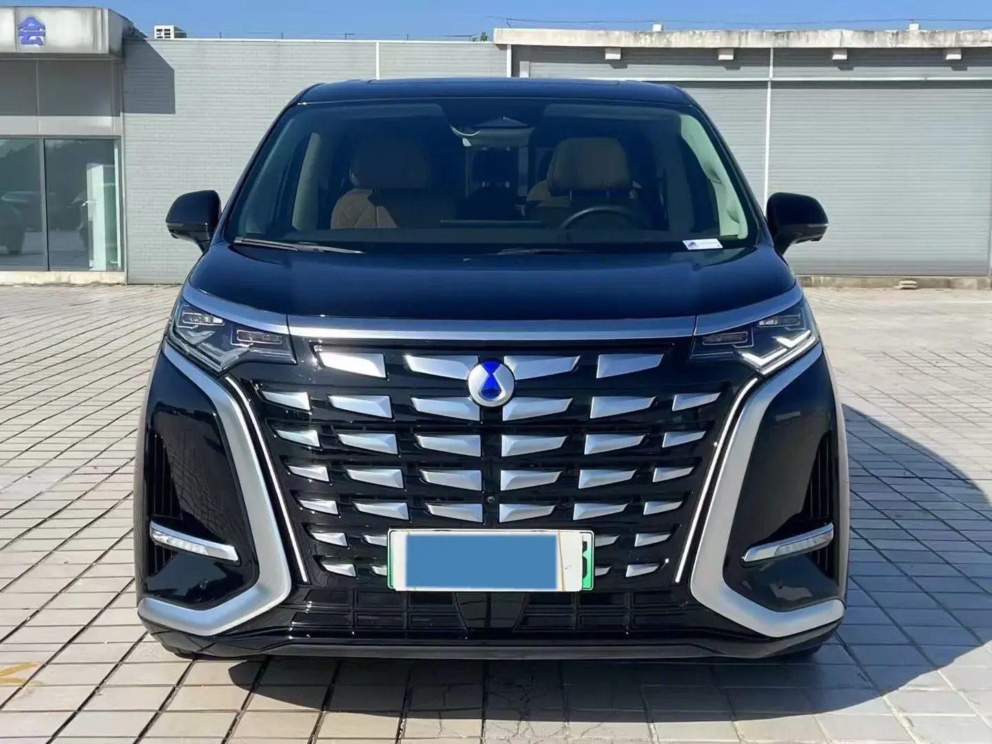 2024 DENZA D9 thumbnail 2