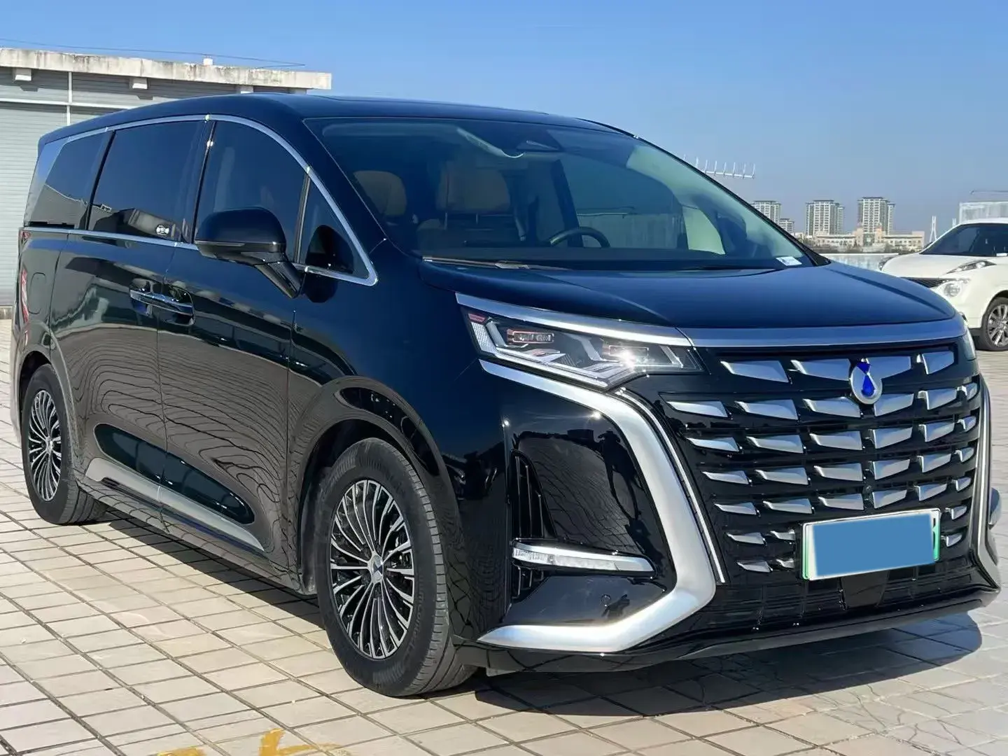 2024 DENZA D9 thumbnail 3