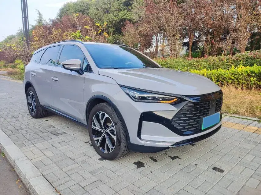 2024 BYD TANG thumbnail 2