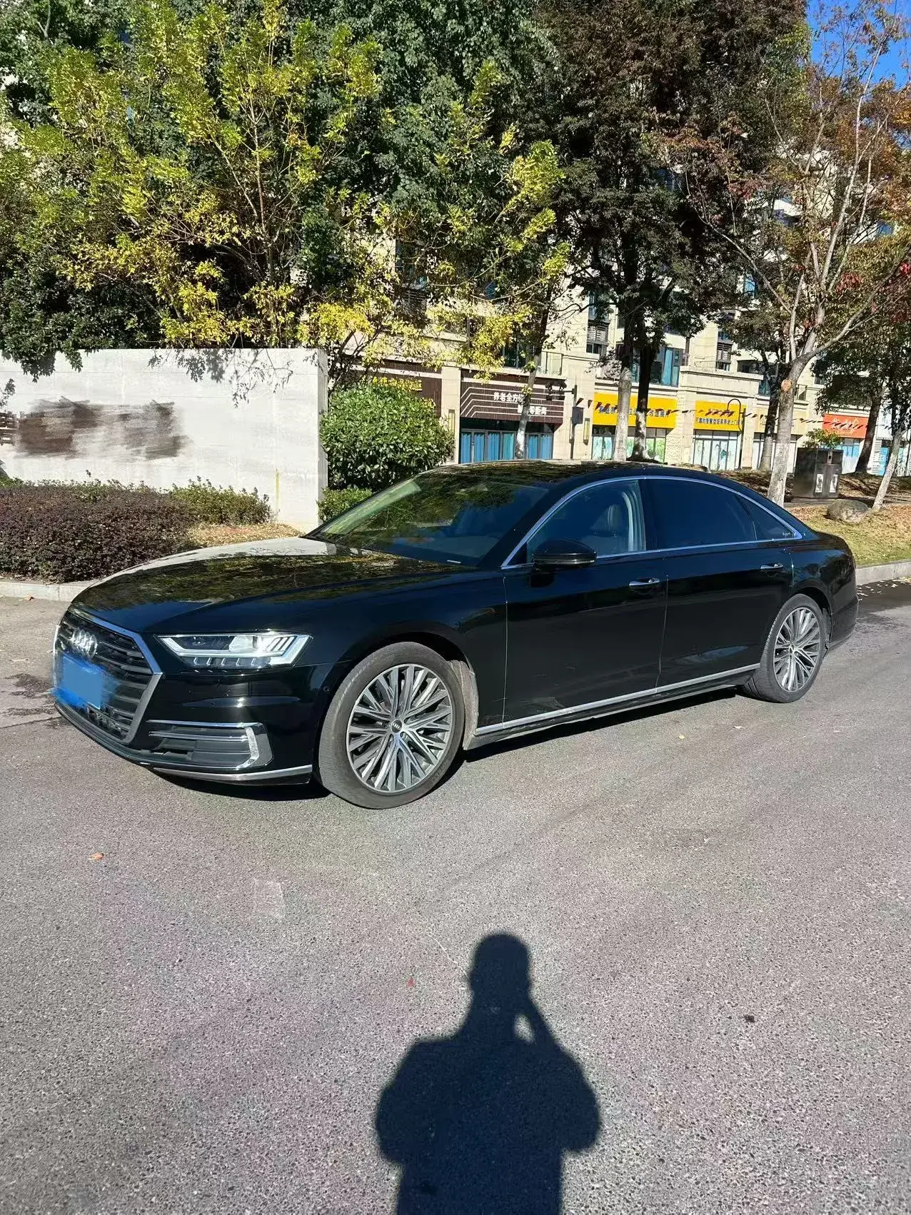 2019 AUDI A8 view 1