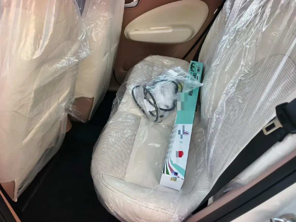 2025 WuLing HongGuang MINI EV BEV 16.2KWH,autocango,china used car exporter,china ev exporter,chinese used car exporter,chinese used ev exporter