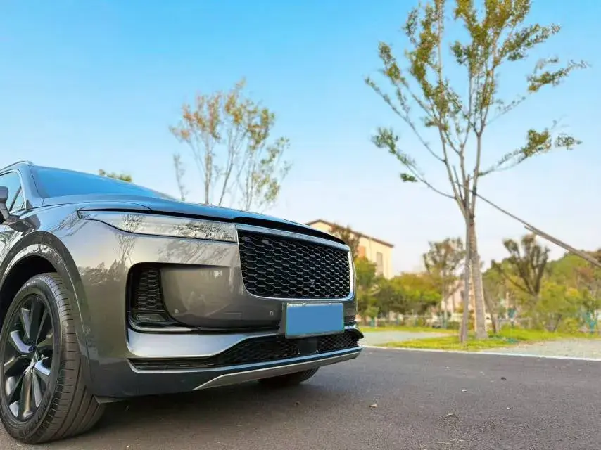 2021 LI ONE thumbnail 3