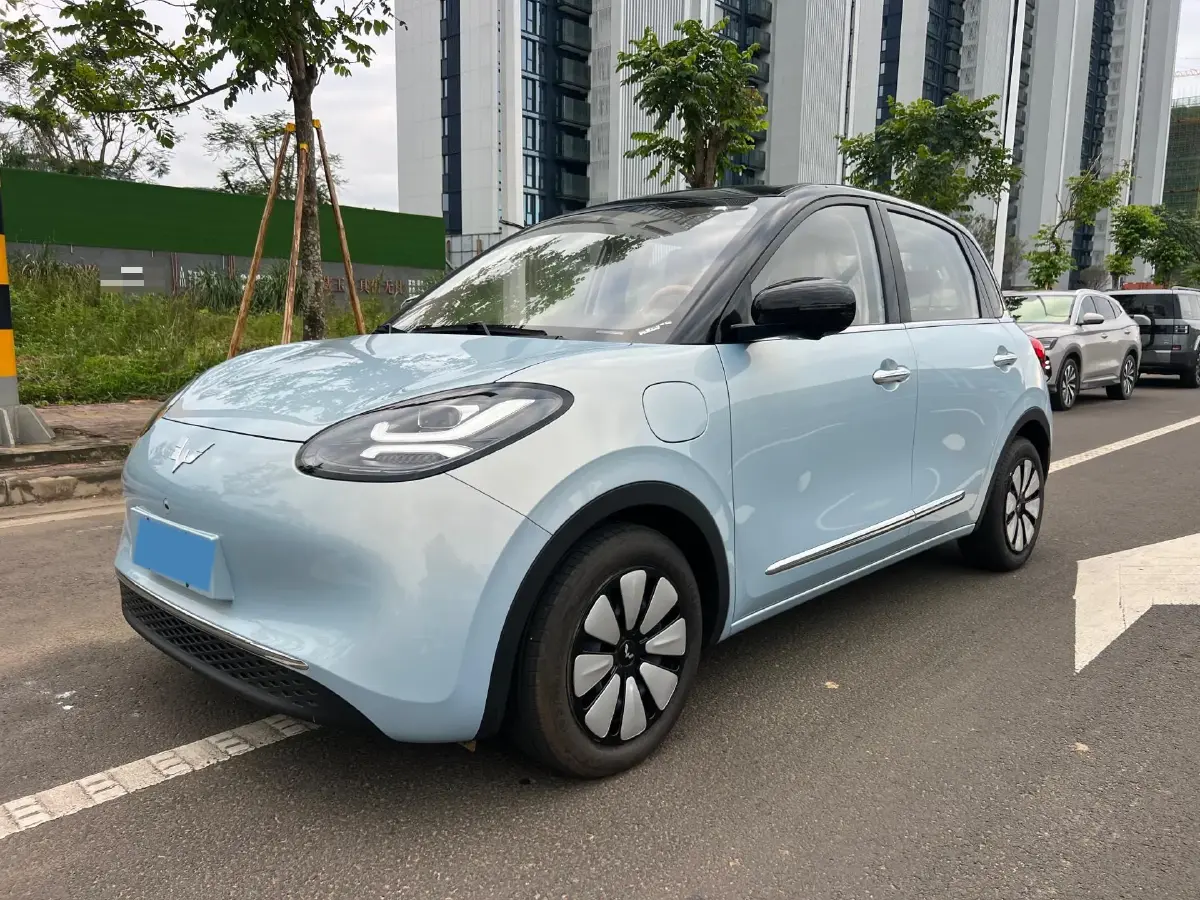 2025 WuLing BinGuo BEV