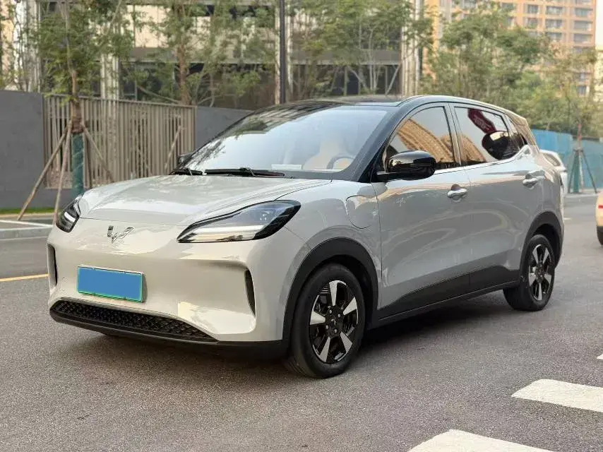 2024 WuLing BinGuoPLUS BEV 50.6KWH