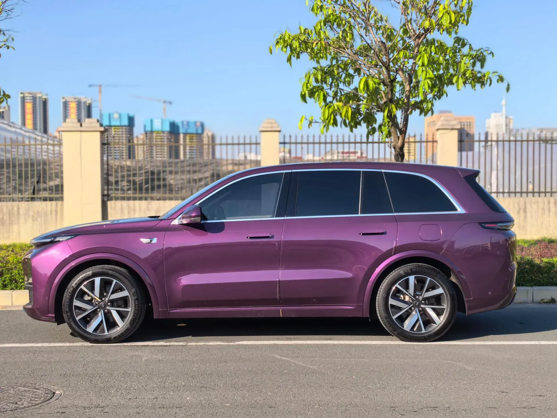 2023 LI L8 thumbnail 3