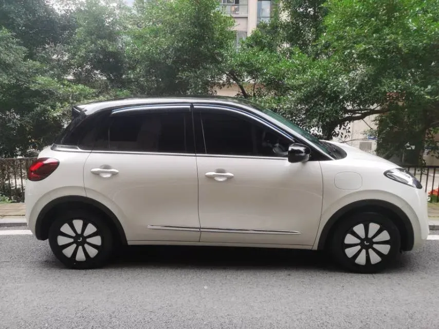 2024 WuLing BinGuo BEV 31.9KWH,autocango,china used car exporter,china ev exporter,chinese used car exporter,chinese used ev exporter