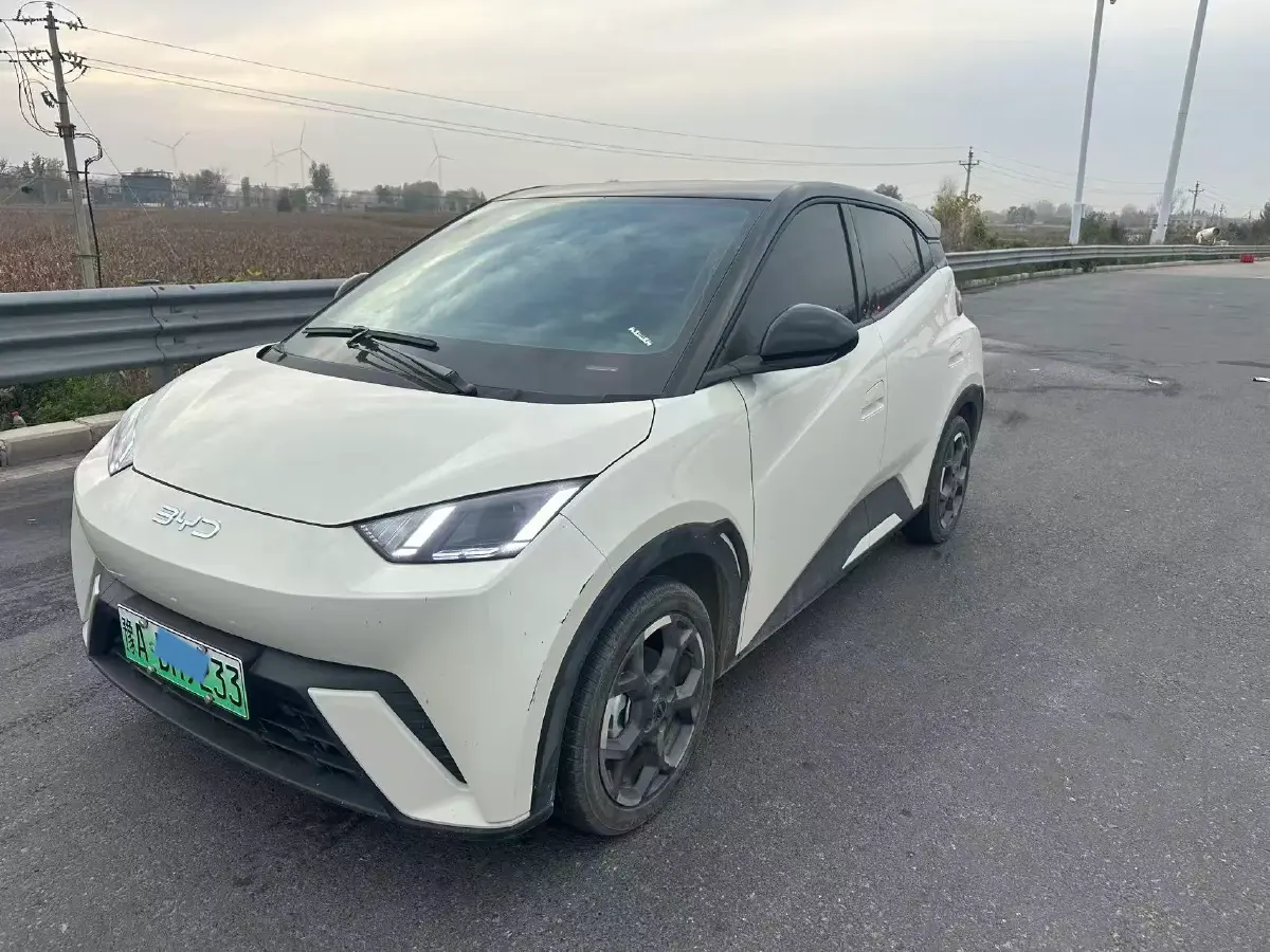 2024 BYD Seagull BEV 38.88KWH