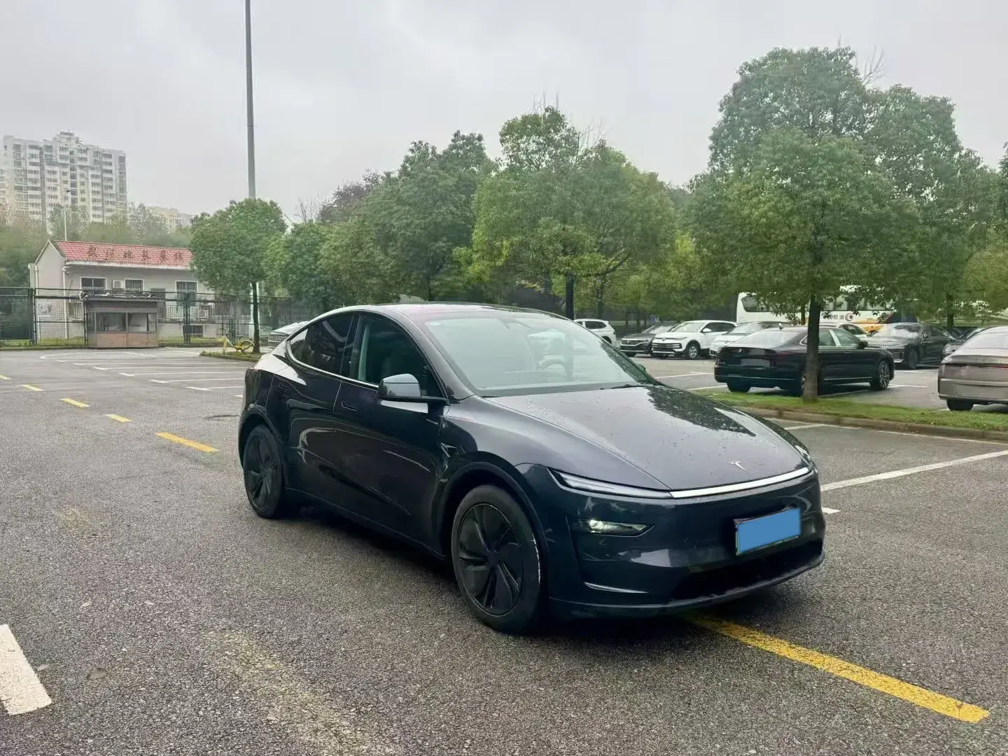 2025 TESLA MODEL thumbnail 3