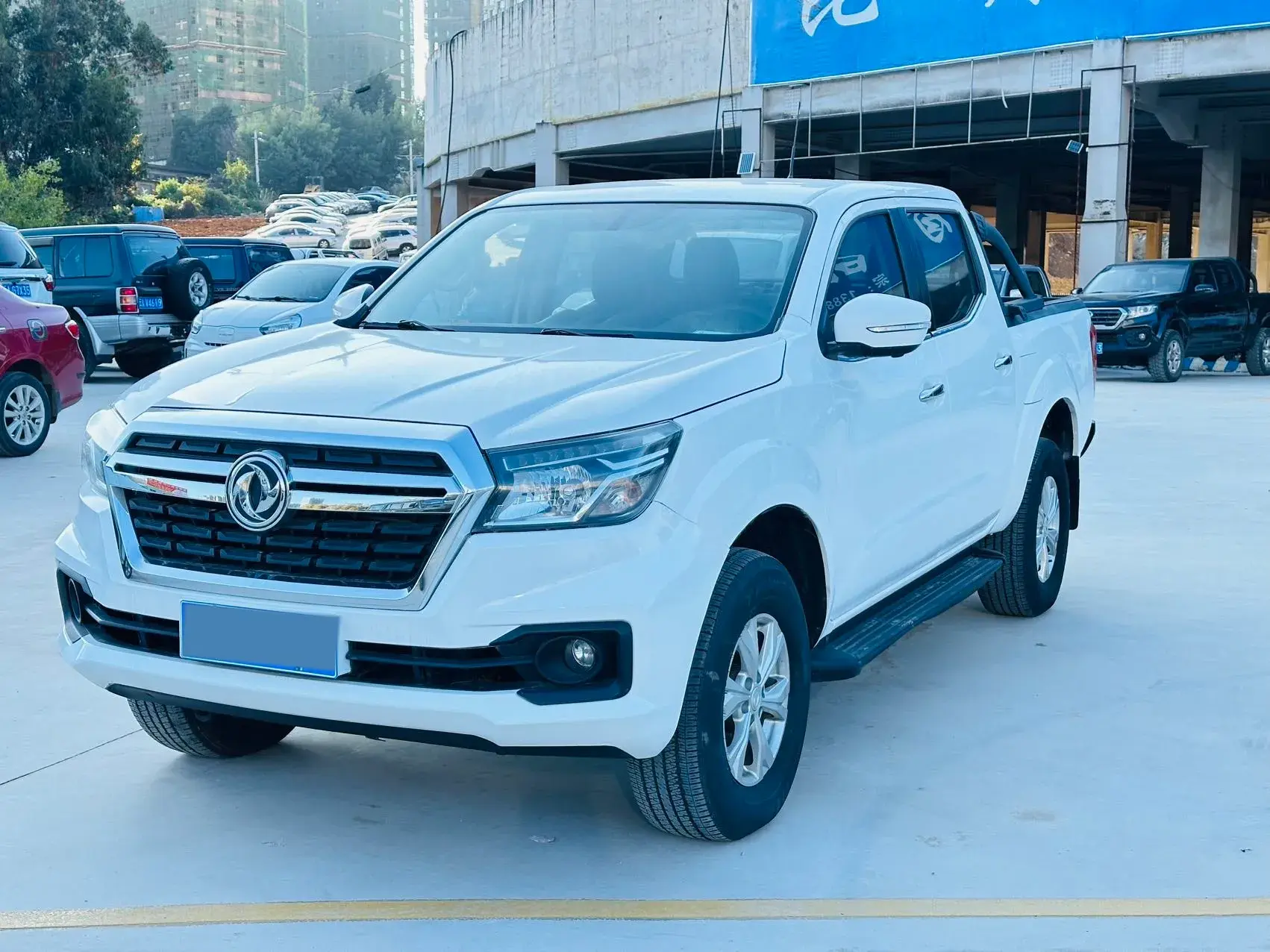 2019 DONGFENG RUIQI view 1