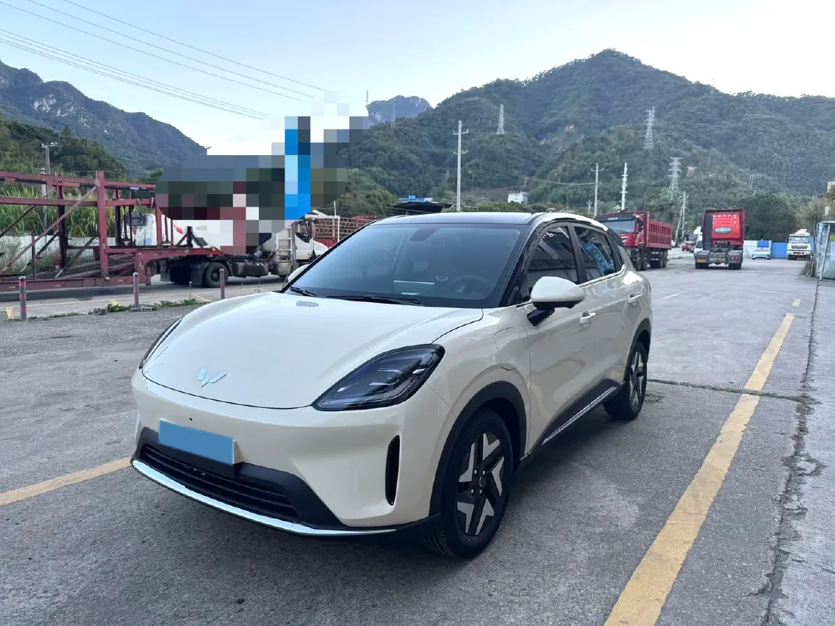 2025 WuLing BinGuo S BEV,autocango,china used car exporter,china ev exporter,chinese used car exporter,chinese used ev exporter