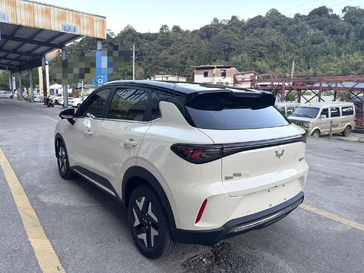 2025 WuLing BinGuo S BEV,autocango,china used car exporter,china ev exporter,chinese used car exporter,chinese used ev exporter